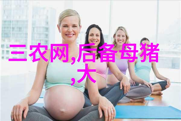 后备母猪的营养与饲养